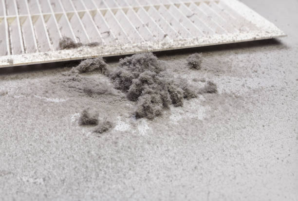 Best Emergency Air Duct Cleaning  in Perezville, TX