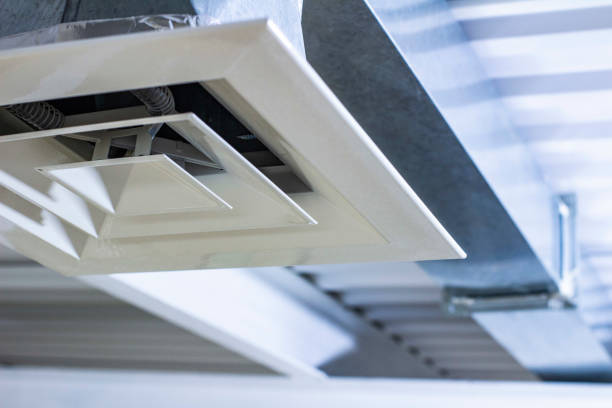 Air Duct Mold Removal in Perezville, TX